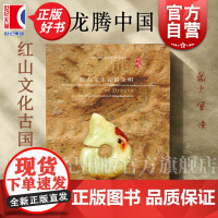 龙腾中国红山文化古国文明 上海博物馆编上海书画出版社艺术收藏鉴赏图册集正版图书籍