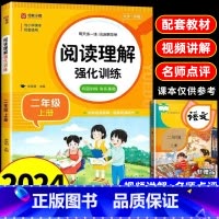 [2册]阅读理解+看图写话 二年级上 [正版]2025小学语文阅读理解专项训练书人教版二年级上册下册课外阅读强化训练题每