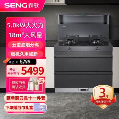 森歌(SENG)集成灶L1 消毒柜款 二星级消毒外观美 大容量 一体式吸烟机燃气灶具 抽油烟机燃气灶灰色液化气