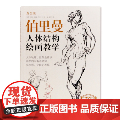 [正版]伯里曼人体结构绘画教学教程黄金版/典藏版 人物速写入门基础画册临摹自学教学美术艺术手绘教材 中国美术学院出版社