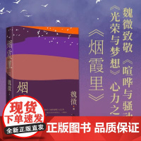 烟霞里 魏微 著 鲁迅文学奖得主魏微积蕴十三年长篇小说新作 致敬喧哗与骚动 光荣与梦想 小说