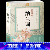 [正版] 彩图全解纳兰词 纳兰容若词传(精装) 仓央嘉措诗传 纳兰性德国学 古诗词鉴赏大全 中国诗词大会 书籍
