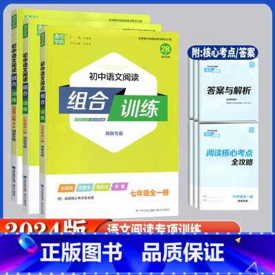 语文阅读组合训练 湖南专用 八年级/初中二年级 [正版]2024版通城学典初中语文阅读组合训练七年级八年级九年级全一册湖