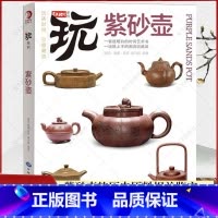 单本全册 [正版] 玩系列 紫砂壶收藏投资指南 鉴赏鉴别鉴定选购收藏指南书籍 紫砂壶的历史原料壶形制作与装饰工艺使用和保
