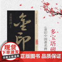 颜真卿多宝塔碑 金印中国著名碑帖 孙宝文编 名家作品精选 书毛笔书法软笔字帖 简体旁注 书法入门临摹书籍 上海人民美术出