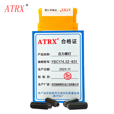ATRX 压力螺钉 YBC174.32-831 个
