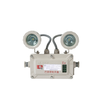 讯博士 BZD300 LED 防爆消防应急标志灯具 (计价单位:盏) 白色