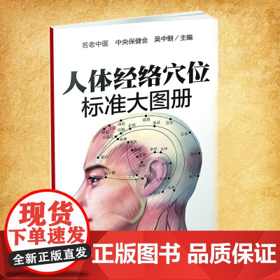 人体经络穴位标准大图册 中国轻工业出版社 无 著