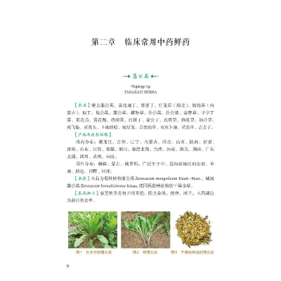 [M]中药鲜药治疗疑难病症-9787521427318