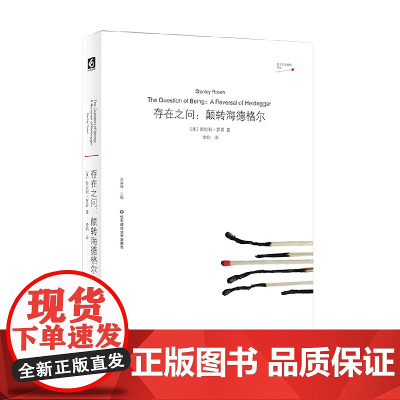 存在之问 颠转海德格尔 斯坦利·罗森 著 哲学