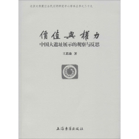 醉染图书价值与权力 中国大遗址展示的观察与反思9787532594320