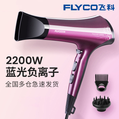 飞科（FLYCO）电吹风机家用理发店发廊专用大风力大功率冷热风吹风筒