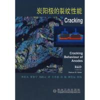 [M]炭阳极的裂纹性能李庆义贾鲁宁刘改云译-9787502447632