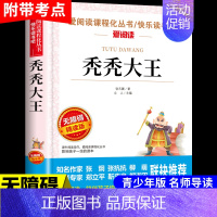 秃秃大王 [正版]大林和小林张天翼 小学生三年级四年级五年级上册下册阅读课外书必读的书籍 老师儿童文学全集宝葫芦的秘密童