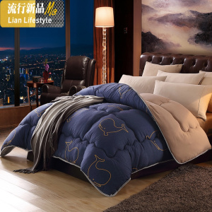 被子冬被春秋棉被加厚保暖被芯宿舍单人学生丝棉太空被褥四季通用 三维工匠