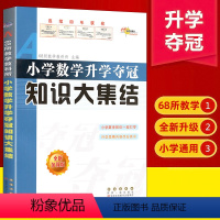 [正版]新版 小学数学升学夺冠知识大集结全新升级版 小升初数学专项训练总复习资料小考工具书一二三四五六年级通用知识大全