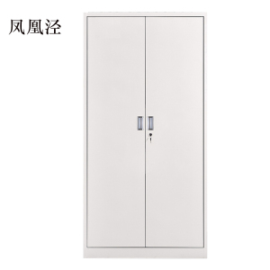 凤凰泾钢制资料柜档案柜财务凭证柜带锁储物柜铁皮柜书柜铁开门文件柜