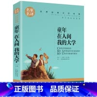 童年在人间我的大学 [正版]名著任选初中生世界名着全套原着书籍小说经典儿童文假如给我三天光明昆虫记爱的教育海底两万里简爱