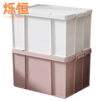 烁恒 收纳箱 大号 个