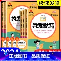 我爱默写[语文]通用版 六年级下 [正版]2024版状元语文笔记我爱默写一二年级三五四六年级上下册人教版小学积累与默写小