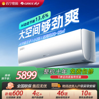 [格力官方旗舰店]格力空调Ai节能王子新一级能效小2匹变频空调挂机KFR-46GW/NhLa1BG冷暖家用低音