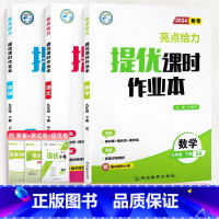 [英语]译林版 九年级下 [正版]2024春亮点给力提优课时作业本语文数学英语九年级上册下册物理化学人教版人教版同步练习