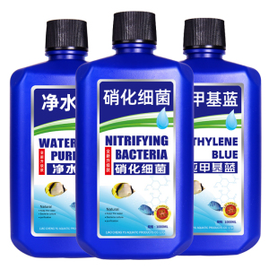 硝化细菌鱼缸用净水剂鱼药养鱼净化水质稳定剂分解鱼粪消化活菌液