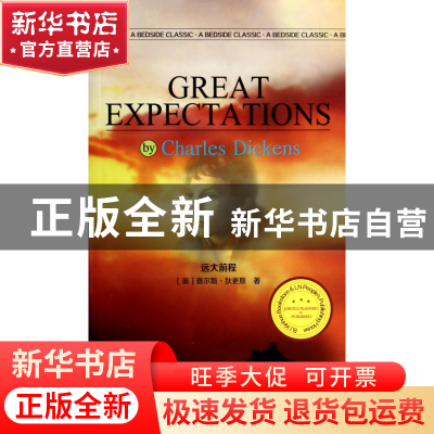 正版 远大前程 (英)查尔斯·狄更斯 辽宁人民 9787205078065 书籍
