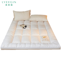 莱依瑾 床垫 100x200cm厚约10cm/张