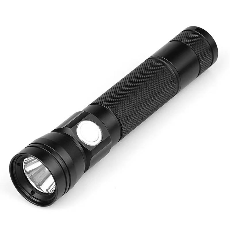 荣乾聚 强光手电筒 防汛巡检照明灯 BAD202H 台