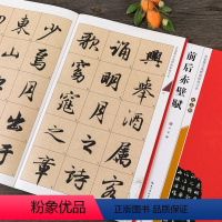 [正版]赵孟頫前后赤壁赋 全文米字格高清放大彩印本 附简体注释 名家墨宝选粹临帖放大本 赵体行书书法碑帖初学入门毛笔练