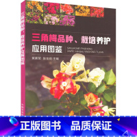 [正版] 三角梅品种 栽培养护应用图鉴 黄素荣 陈金花 园艺 花卉 花木 梅花 寒梅 园林中国农业出版社