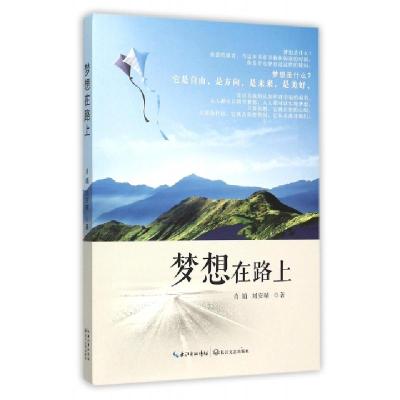 正版新书]梦想在路上肖娟//刘安晴9787535484109