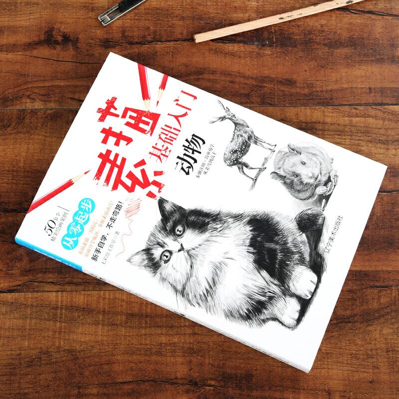 正版新书]素描基础入门--动物矫强 著9787531483168