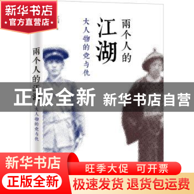 正版 两个人的江湖:大人物的党与仇 江南著 金城出版社 978751551