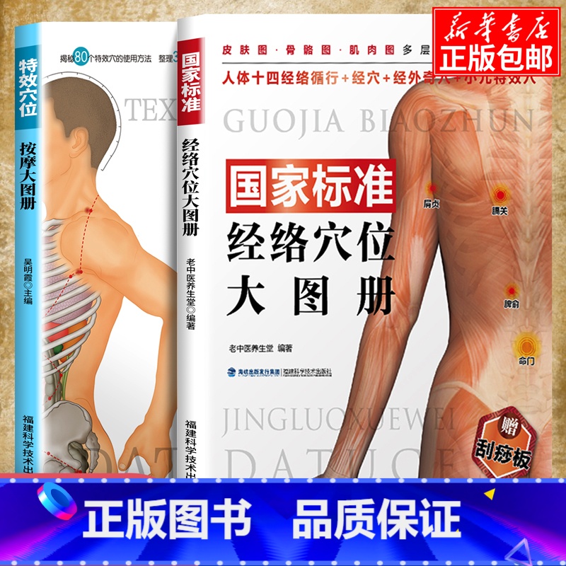 [正版]赠刮痧板国家标准经络穴位大图册+特效穴位按摩大图册人体经络穴位图解书中医养生人体经络按摩保健推拿女性经络穴位按