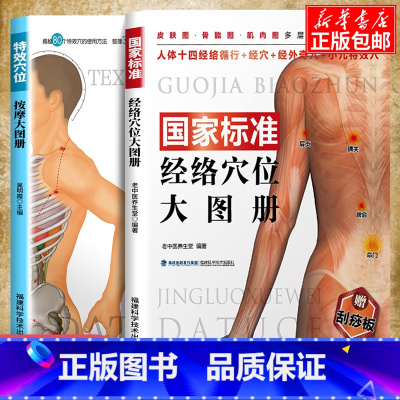 [正版]赠刮痧板国家标准经络穴位大图册+特效穴位按摩大图册人体经络穴位图解书中医养生人体经络按摩保健推拿女性经络穴位按