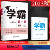 数学 九年级下 [正版] 2023秋学霸题中题 九年级数学下册 人教版RJ 初三9年级下册同步辅导资料练习册提优课时