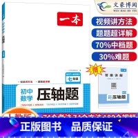 [七年级]数学压轴题 人教版 初中通用 [正版]初中语文阅读答题方法100问语文阅读理解答题模板技巧七八九年级语文教辅书