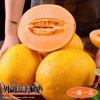 [苏鲜生]正宗黄金蜜瓜 净重2.5斤 1-2个 冰淇淋新鲜水果当季哈蜜瓜