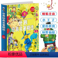 [正版] 世界经典名著 拼音精装版 4-6-8岁儿童文学书籍 一二年级小学生课外读物 注音版 小王子爱的教育绿野仙踪世