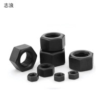 志浪 1型六角螺母M20 个