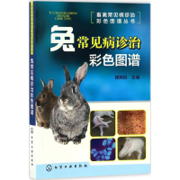 [M]兔常见病诊治彩色图谱-9787122287632