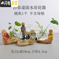 三维工匠陶瓷花盆多肉绿萝吊兰盆栽 家用阳台室内创意 沙弥桌面水培花器随机1个 中等花盆容器