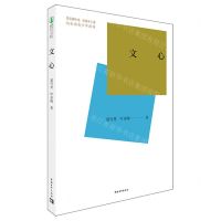 [N]文心-9787541161223