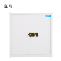 寇店保险柜铁皮资料柜矮柜办公室储物柜单节白色指纹锁900*420*900