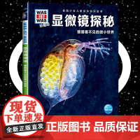 显微镜探秘8-10-12岁德国少年儿童百科知识全书 什么是什么was ist was珍藏版 小学生课外阅读书籍十万个为什