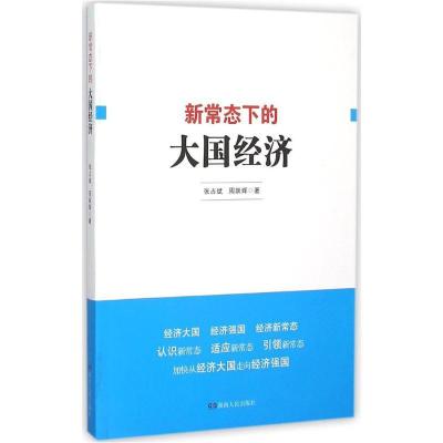 正版新书]新常态下的大国经济张占斌 著9787556108572