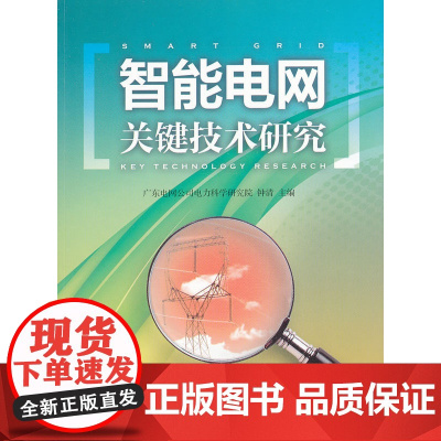 智能电网关键技术研究