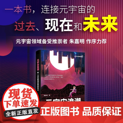 元宇宙浪潮 新一代互联网变革的风口 冀俊峰 著 经济